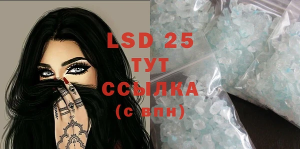 прущие грибы Горняк
