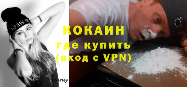 сатива Горнозаводск