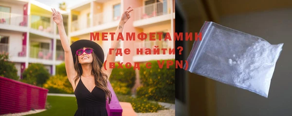 прущие грибы Горняк