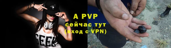 Альфа ПВП Горно-Алтайск