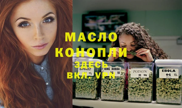 прущие грибы Горняк