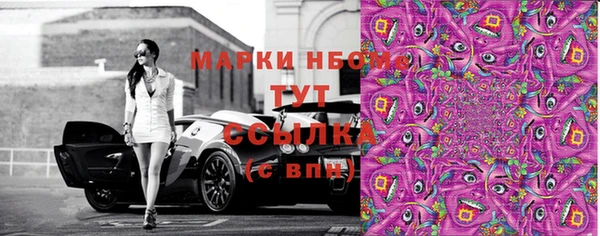 прущие грибы Горняк