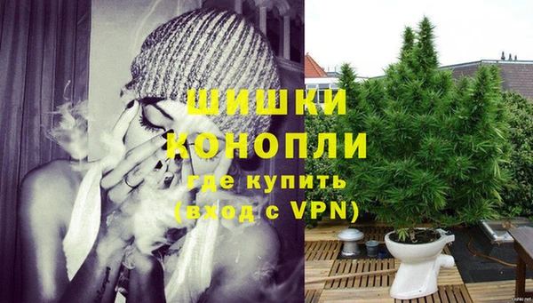 Альфа ПВП Горно-Алтайск