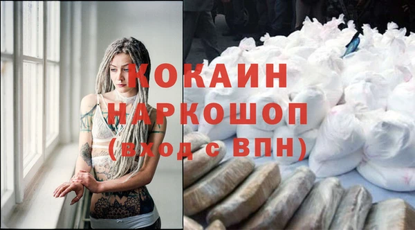 прущие грибы Горняк