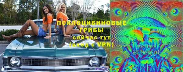 прущие грибы Горняк