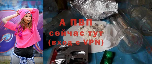 сатива Горнозаводск