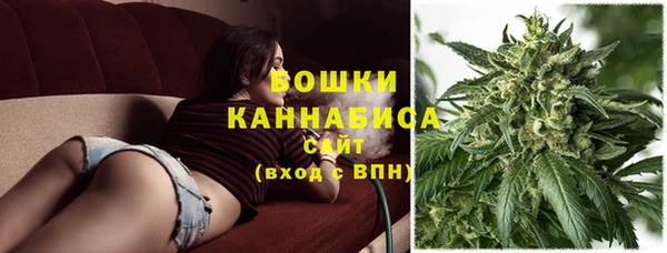 прущие грибы Горняк