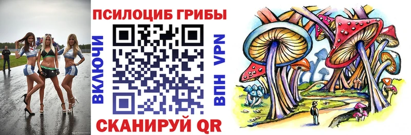 Псилоцибиновые грибы Magic Shrooms  Заполярный 